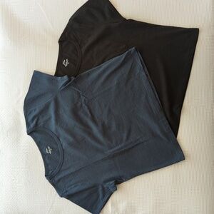 *SET OF TWO* J Crew '90s Cropped Organic Slub Cotton T-shirts